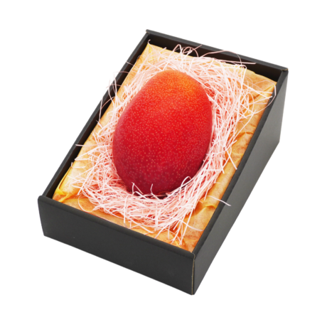 宮崎県産完熟マンゴー(黒化粧箱) 1個入