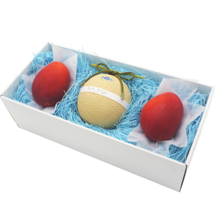 【KIWAMI】マスクメロン×宮崎完熟マンゴー